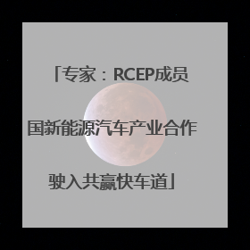 专家：RCEP成员国新能源汽车产业合作驶入共赢快车道