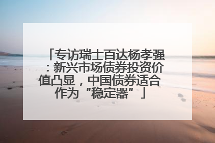 专访瑞士百达杨孝强：新兴市场债券投资价值凸显，中国债券适合作为“稳定器”