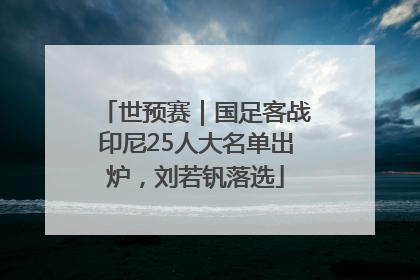 世预赛｜国足客战印尼25人大名单出炉，刘若钒落选