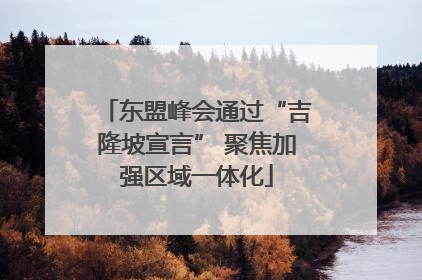 东盟峰会通过“吉隆坡宣言” 聚焦加强区域一体化
