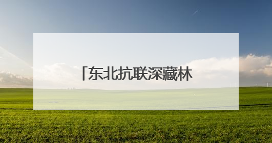 东北抗联深藏林海后方基地遗址被确认，再现80多年前密营抗战