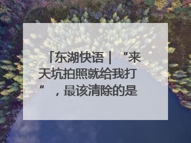 东湖快语｜“来天坑拍照就给我打”，最该清除的是“护短”思维