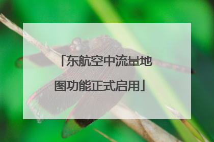 东航空中流量地图功能正式启用