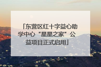 东营区红十字益心助学中心“星星之家”公益项目正式启用