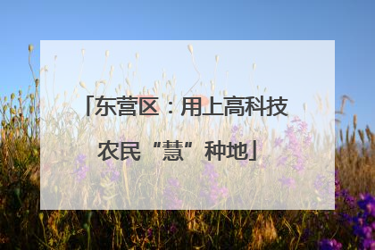 东营区：用上高科技 农民“慧”种地