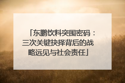 东鹏饮料突围密码：三次关键抉择背后的战略远见与社会责任