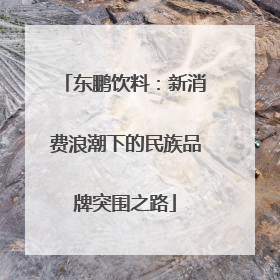 东鹏饮料：新消费浪潮下的民族品牌突围之路