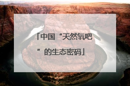 中国“天然氧吧”的生态密码