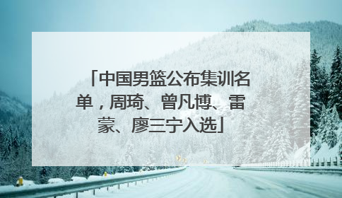 中国男篮公布集训名单，周琦、曾凡博、雷蒙、廖三宁入选