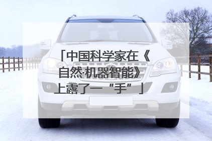 中国科学家在《自然·机器智能》上露了一“手”