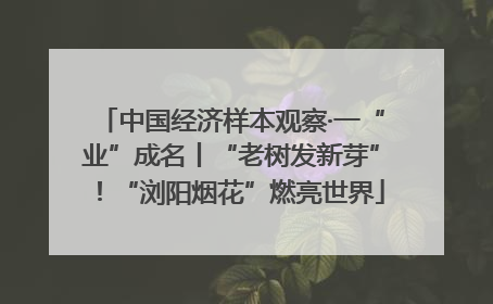 中国经济样本观察·一“业”成名丨“老树发新芽”！“浏阳烟花”燃亮世界