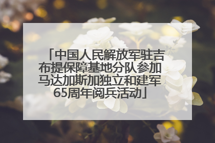 中国人民解放军驻吉布提保障基地分队参加马达加斯加独立和建军65周年阅兵活动