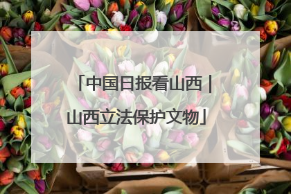 中国日报看山西｜山西立法保护文物