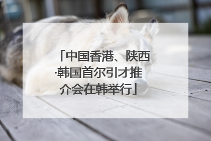 中国香港、陕西·韩国首尔引才推介会在韩举行