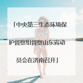 中央第三生态环境保护督察组督察山东省动员会在济南召开
