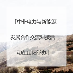中非电力与新能源发展合作交流对接活动在岳阳举办