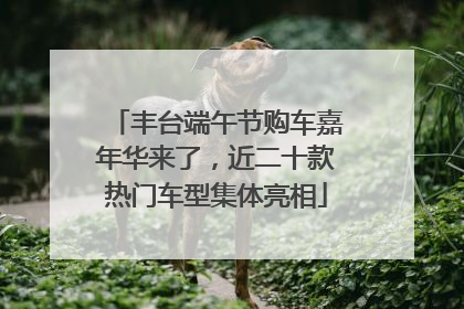 丰台端午节购车嘉年华来了，近二十款热门车型集体亮相
