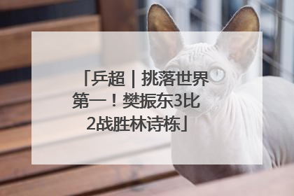 乒超｜挑落世界第一！樊振东3比2战胜林诗栋