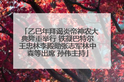 乙巳年拜谒炎帝神农大典隆重举行 铁凝巴特尔王忠林李殿勋张志军林中森等出席 孙伟主持