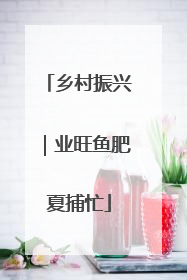 乡村振兴｜业旺鱼肥夏捕忙