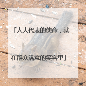人大代表的使命，就在群众满意的笑容里