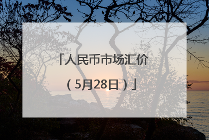 人民币市场汇价（5月28日）