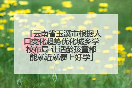 云南省玉溪市根据人口变化趋势优化城乡学校布局 让适龄孩童都能就近就便上好学