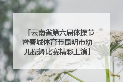 云南省第六届体操节暨春城体育节昆明市幼儿操舞比赛精彩上演