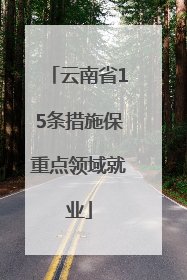 云南省15条措施保重点领域就业