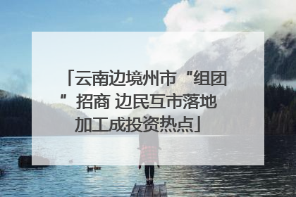 云南边境州市“组团”招商 边民互市落地加工成投资热点