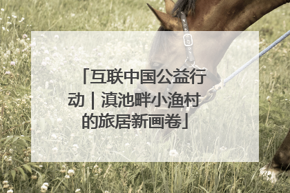 互联中国公益行动｜滇池畔小渔村的旅居新画卷