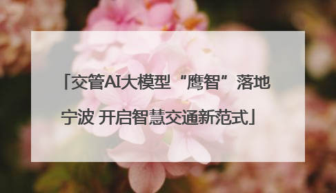交管AI大模型“鹰智”落地宁波 开启智慧交通新范式
