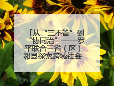 从“三不管”到“协同治”——罗平联合三省（区）邻县探索跨域社会治理新模式