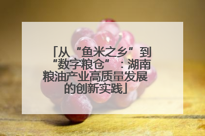 从“鱼米之乡”到“数字粮仓”：湖南粮油产业高质量发展的创新实践