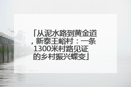 从泥水路到黄金道，新泰王峪村：一条1300米村路见证的乡村振兴蝶变