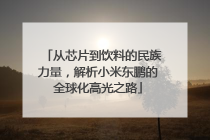 从芯片到饮料的民族力量，解析小米东鹏的全球化高光之路