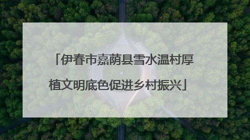 伊春市嘉荫县雪水温村厚植文明底色促进乡村振兴