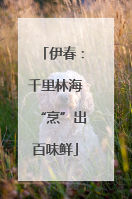 伊春：千里林海“烹”出百味鲜