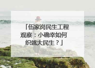 伍家岗民生工程观察：小确幸如何织就大民生？