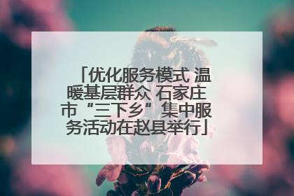 优化服务模式 温暖基层群众 石家庄市“三下乡”集中服务活动在赵县举行