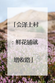 会泽上村：鲜花铺就增收路