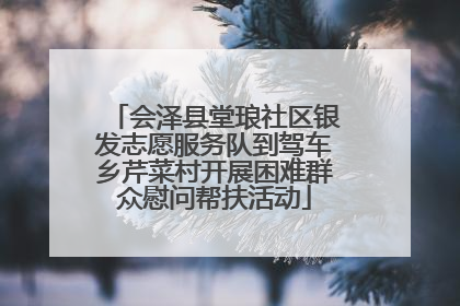 会泽县堂琅社区银发志愿服务队到驾车乡芹菜村开展困难群众慰问帮扶活动