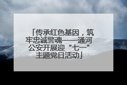 传承红色基因，筑牢忠诚警魂——通河公安开展迎“七一”主题党日活动