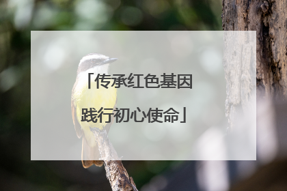 传承红色基因 践行初心使命