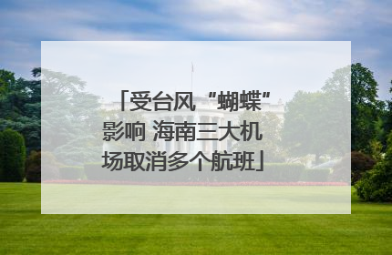 受台风“蝴蝶”影响 海南三大机场取消多个航班