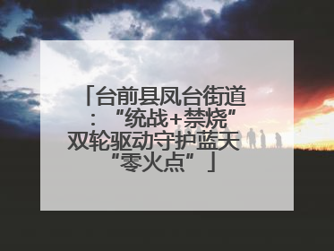 台前县凤台街道：“统战+禁烧”双轮驱动守护蓝天 “零火点”