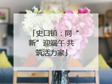 史口镇：同“新”迎端午 共筑活力家