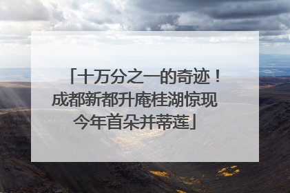 十万分之一的奇迹！成都新都升庵桂湖惊现今年首朵并蒂莲