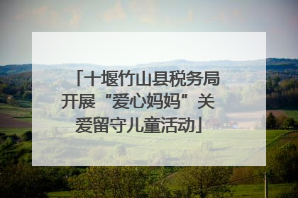 十堰竹山县税务局开展“爱心妈妈”关爱留守儿童活动