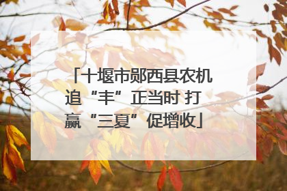 十堰市郧西县农机追“丰”正当时 打赢“三夏”促增收